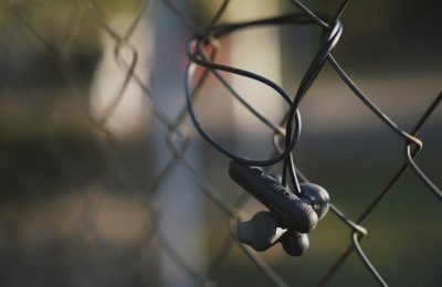 manual for petsafe wireless fence