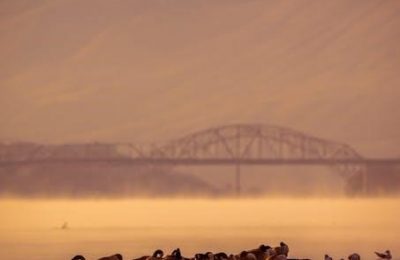 north dakota guided waterfowl hunts