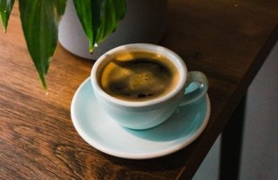 retrocpestos americano pdf